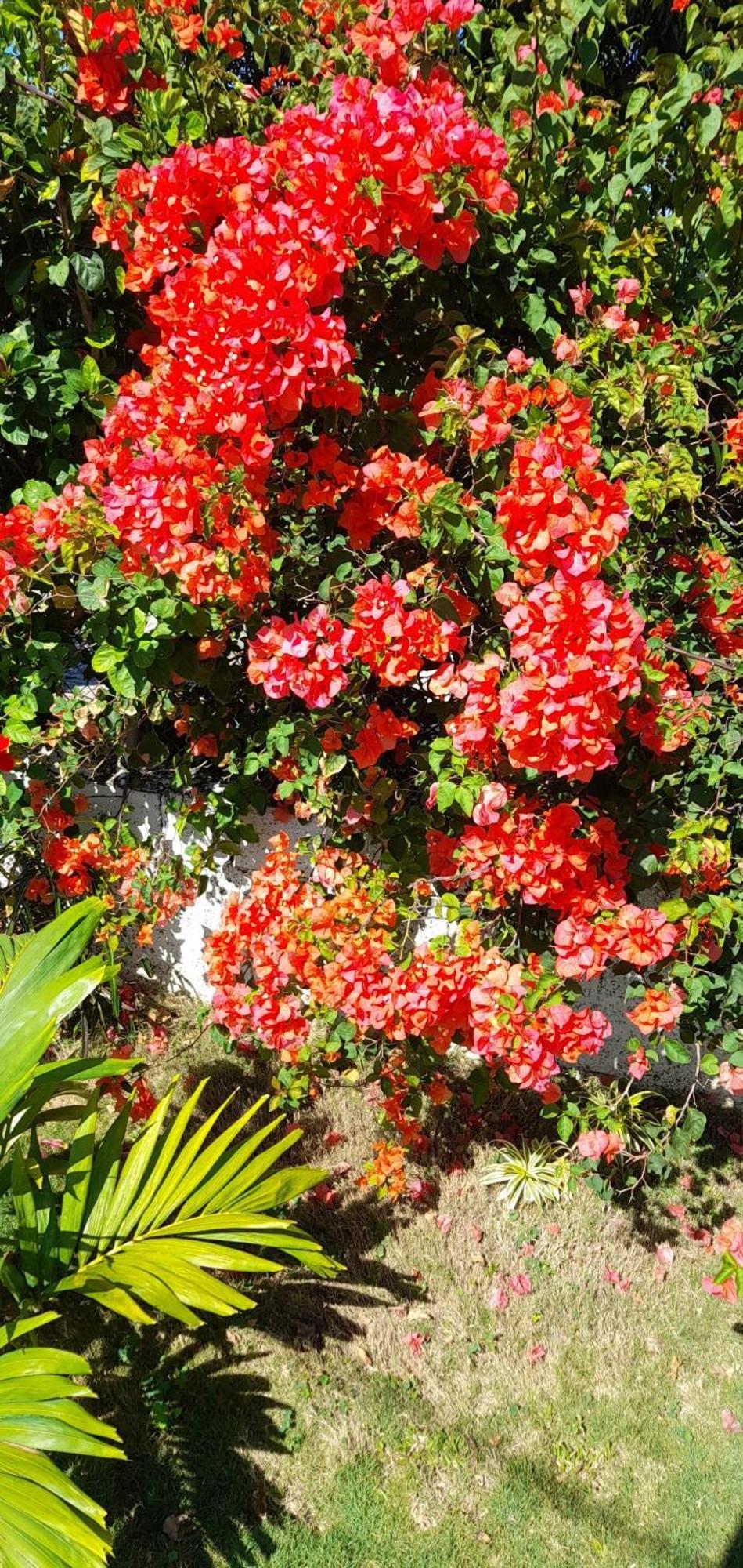 Grace Garden By Eminence Ent Bed & Breakfast *